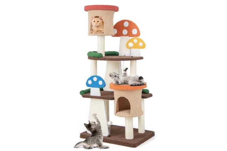 4_In_1_Cat1740479886510