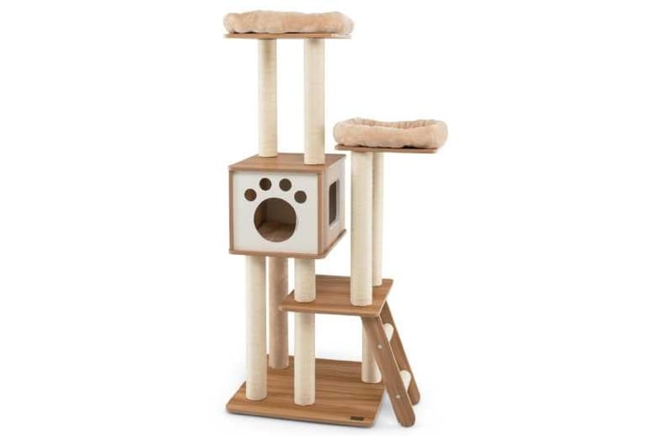 5_Tier_Cat1740566358083