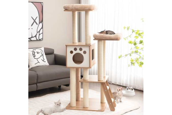 5_Tier_Cat1740566359909