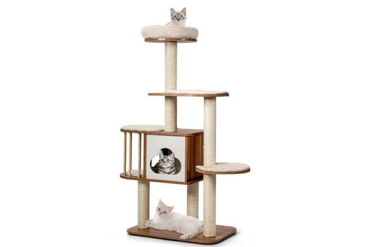 Cat_Tree_f1740633909969
