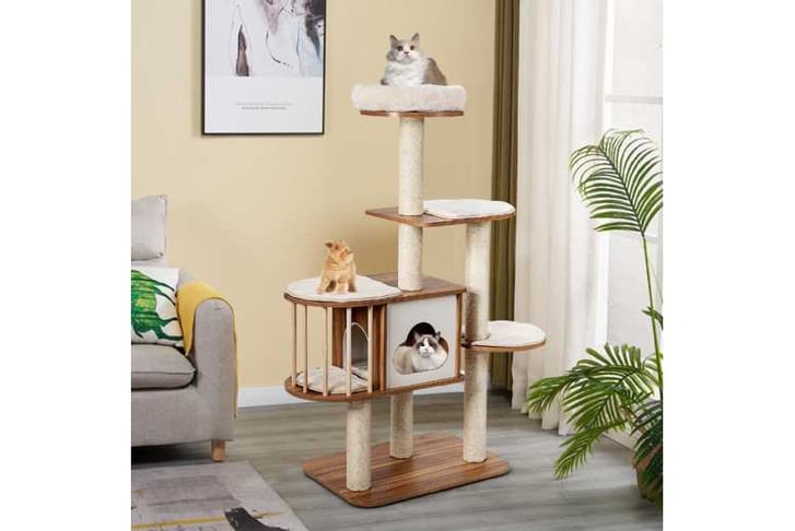 Cat_Tree_f1740633911432