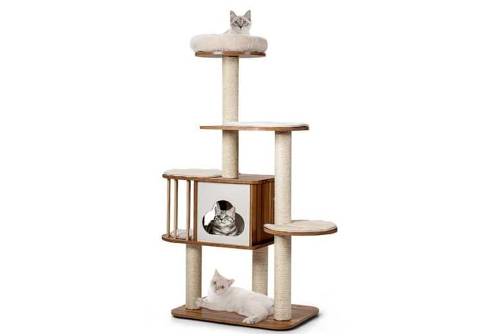 Cat_Tree_f1740633912689