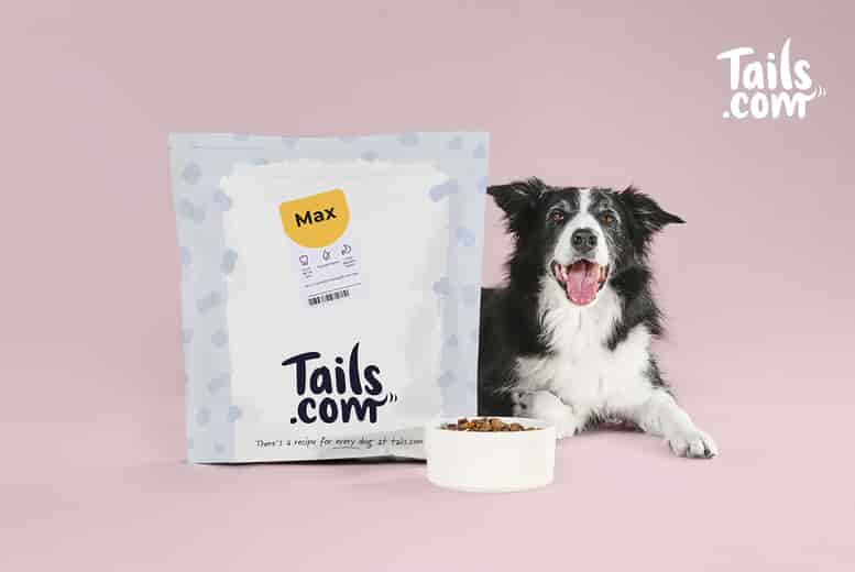 Monthly dog shop food delivery