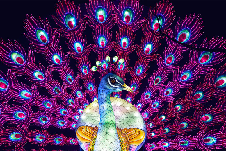 Lightopia Festival Tkt