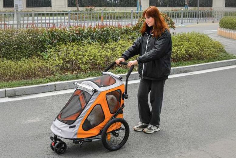 Pawhut pet outlet stroller