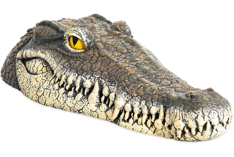 Fake Crocodile Head Pool Float Deal - Wowcher