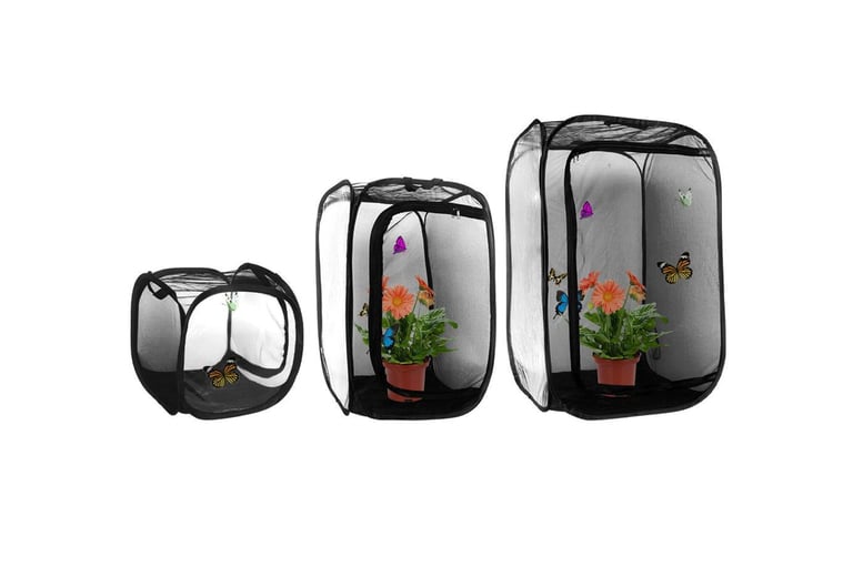 Mesh Pop Up Plant & Butterfly Cage Offer - LivingSocial