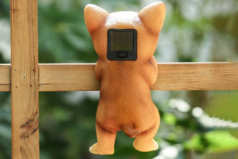 Quirky Animal Hanging Solar Garden Light Deal Wowcher
