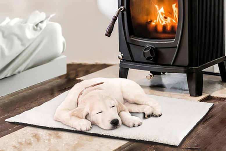 self-heating-pet-beds-deal-wowcher