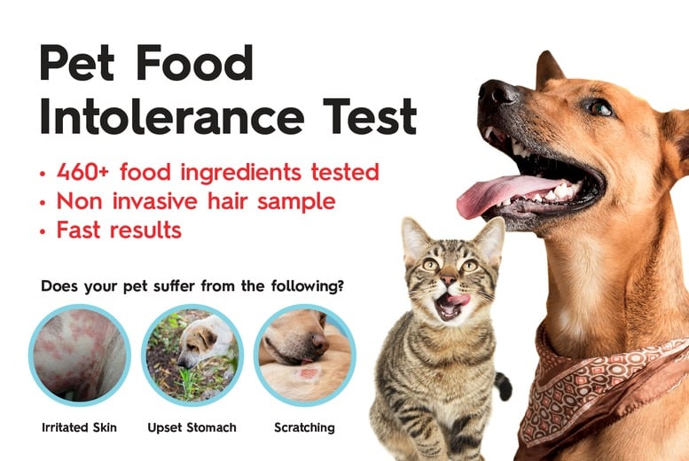 Pet sensitivity test