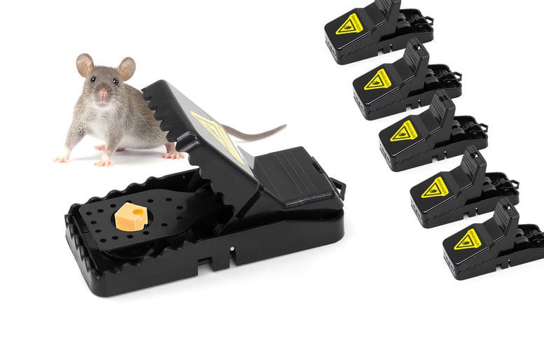 6-PACK Reusable MOUSE TRAPS Rat Trap Rodent Snap Trap