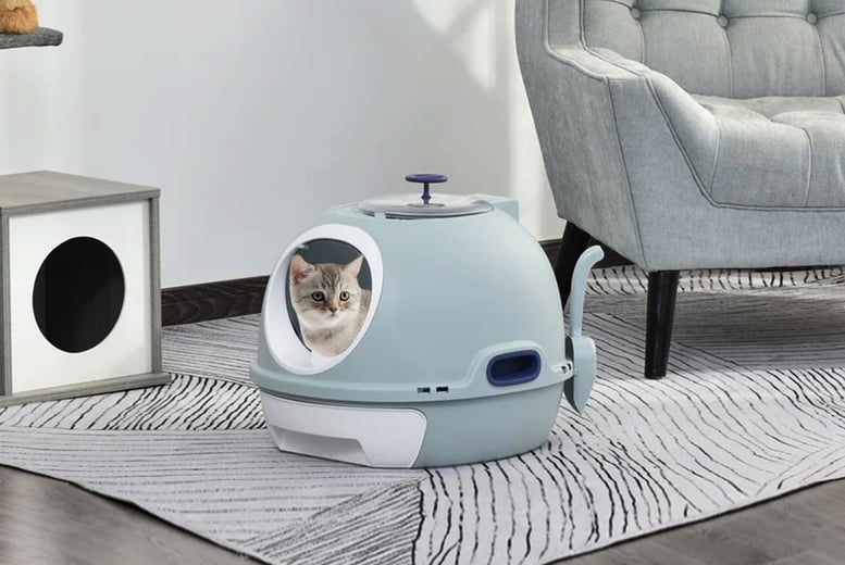 Litter robot outlet 1