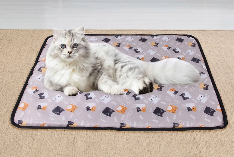 Cooling pet bed for clearance cats