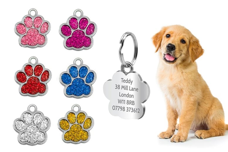 Engraved pet outlet tag