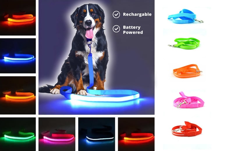 Light up shop dog shoes