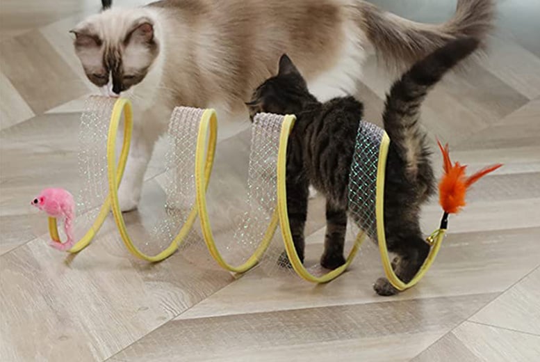 FOLDABLE-CAT-TUNNEL-TOY-1