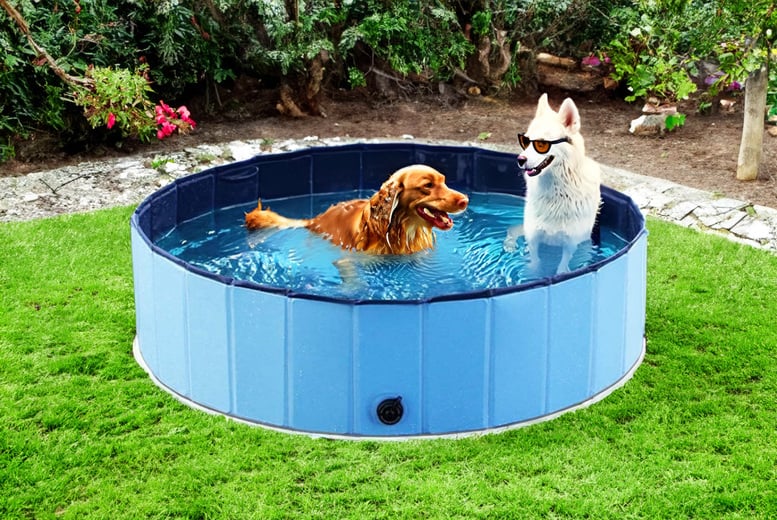 Foldable-Dog-Swimming-Pool-1
