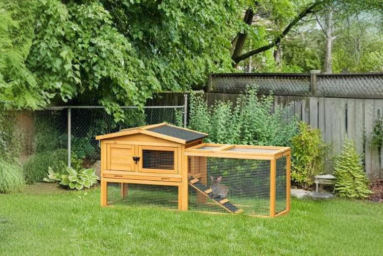 Bingo shop rabbit hutch