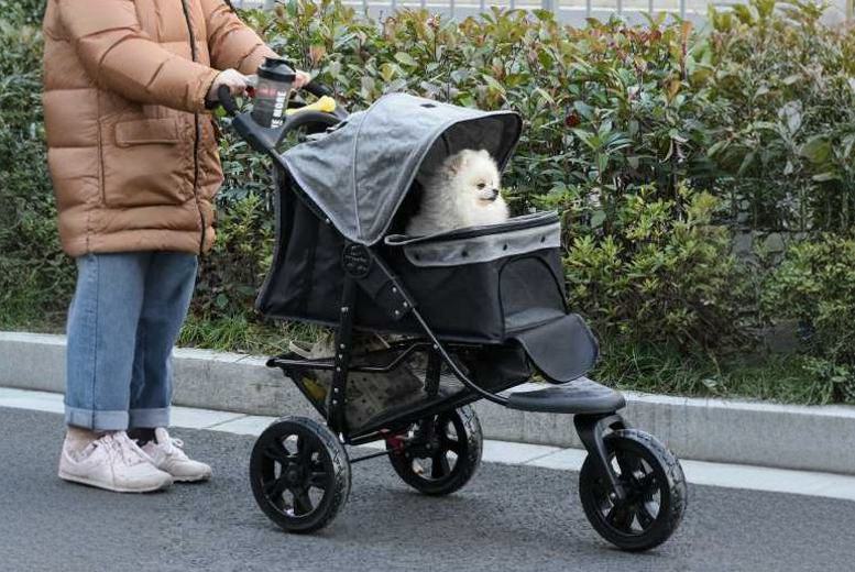 Pawhut dog outlet stroller