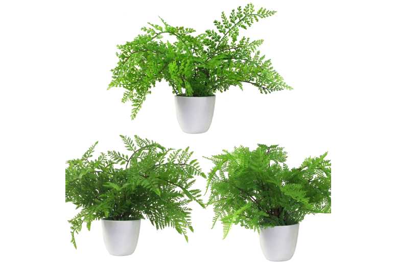 3x30cm Artificial Ferns Pack, Southern Wood, Lady & Royal Potted - Wowcher