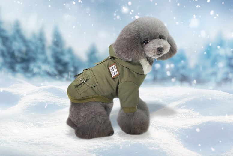 Louis Pup Furry Jacket