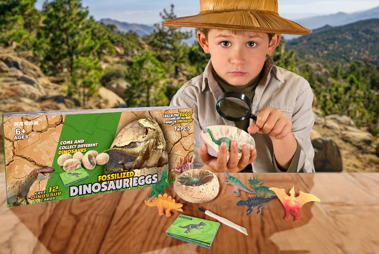 Dinosaur-Egg-Dig-Kit-1