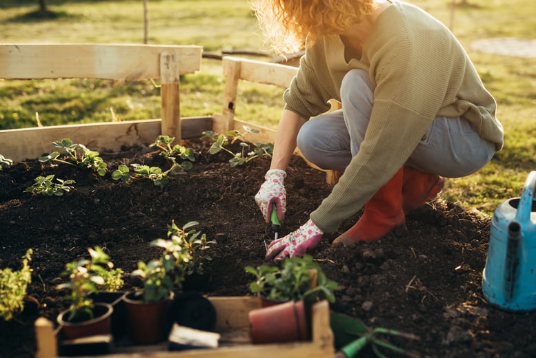Gardening 101 for Beginners Course