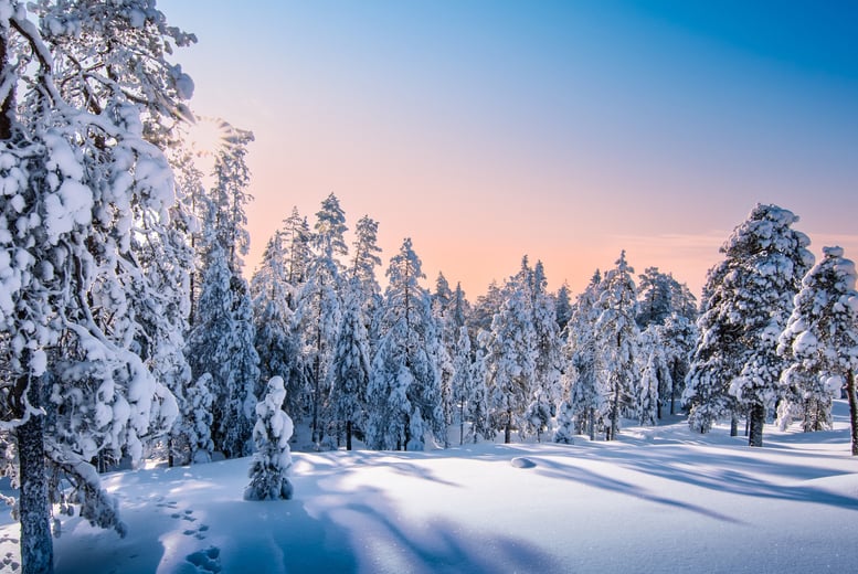 Lapland Break & Flights - Wowcher