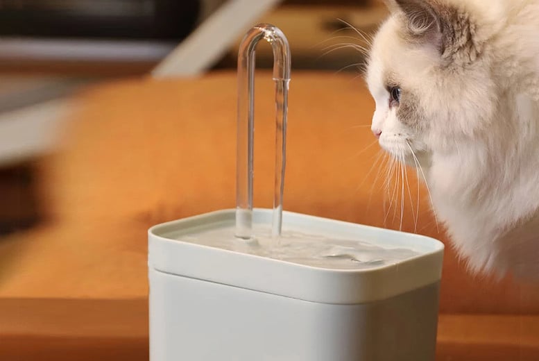 1.5L-Automatic-Pet-Water-Dispenser-1