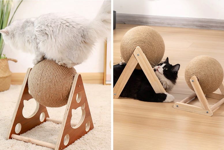 Cat-Scratching-Ball-Toy-1