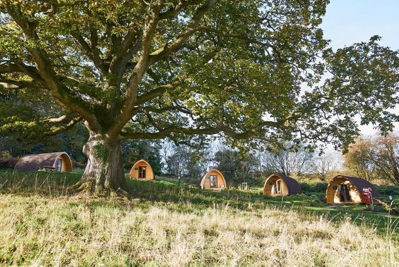 4* Forest of Dean Glamping Pod & Spa Access for 2