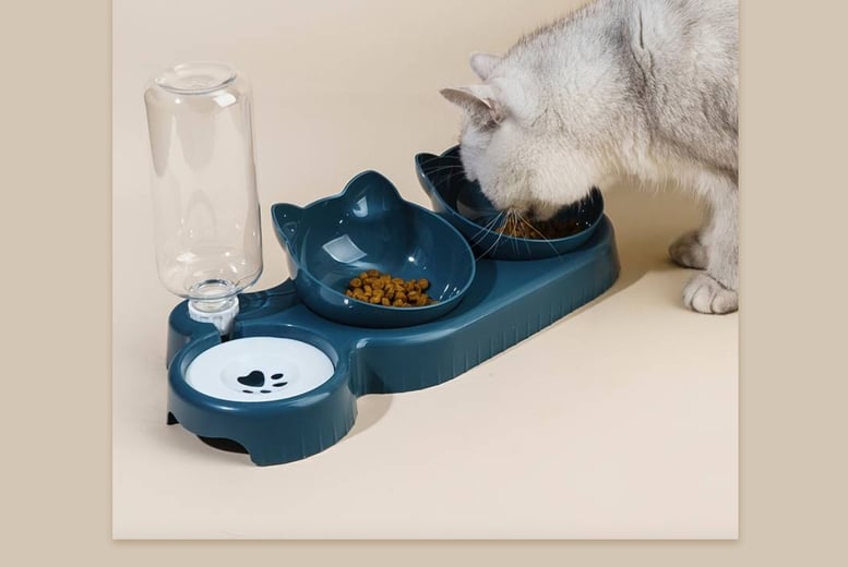 Self watering dog outlet bowl