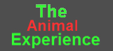 the animal experience logo